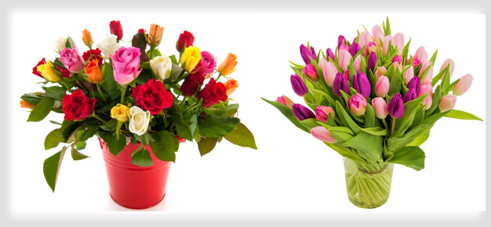 flowers for people with Migraine