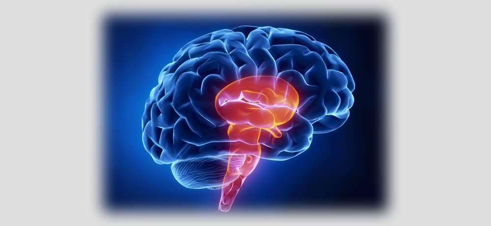 Migraine Disease Types: Migraine with Brainstem Aura